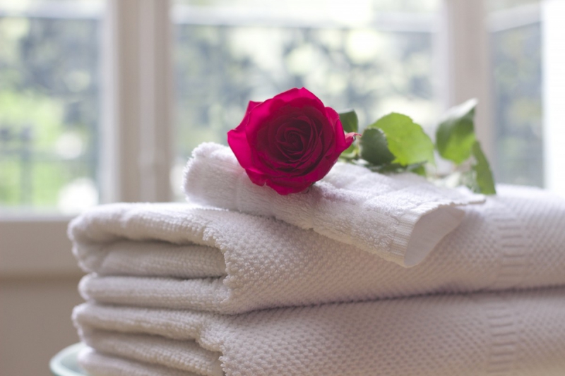 chambre-hote-FLASSANS SUR ISSOLE-min_towel_rose_clean_care_salon_spa_white_bath-731641